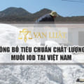 Công bố tiêu chuẩn chất lượng muối ăn, Muối iod tại Việt Nam