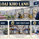 Kho lạnh thực phẩm có cần giấy VSATTP? Kiểm tra theo hoạt động thực tế