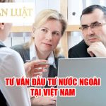 Dịch vụ tư vấn hình thức đầu tư nước ngoại tại Việt Nam