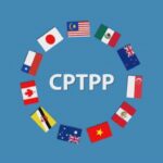 Cấp Giấy chứng nhận xuất xứ hàng hoá (C/O) ưu đãi mẫu CPTPP