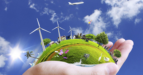 Cấp phép nhập khẩu các chất làm suy giảm tầng ô-dôn