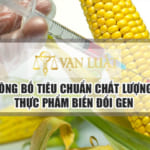 Công bố tiêu chuẩn thực phẩm biến đổi gen tại Việt Nam