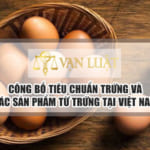 Công bố tiêu chuẩn trứng và các sản phẩm từ trứng tại Việt Nam