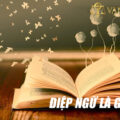 Điệp ngữ là gì? Các dạng điệp ngữ thường gặp