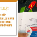 Thủ tục cấp giấy chứng nhận lưu hành tự do (CFS) cho trang thiết bị y tế tại Đồng Nai