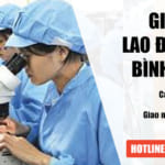 Dịch vụ làm giấy phép lao động tại Bình Phước chuyên nghiệp