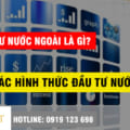 Nhà đầu tư Nước Ngoài là gì? Phân loại nhà đầu tư? Các hình thức đầu tư?