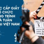 Thủ tục cấp giấy phép tổ chức chương trình phim và tuần phim tại Việt Nam